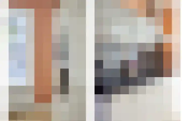 Vliegenzwam 85 Apeldoorn thumbnail 11
