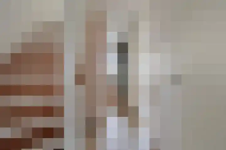 Vliegenzwam 85 Apeldoorn thumbnail 12