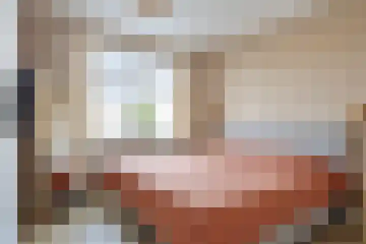 Vliegenzwam 85 Apeldoorn thumbnail 13