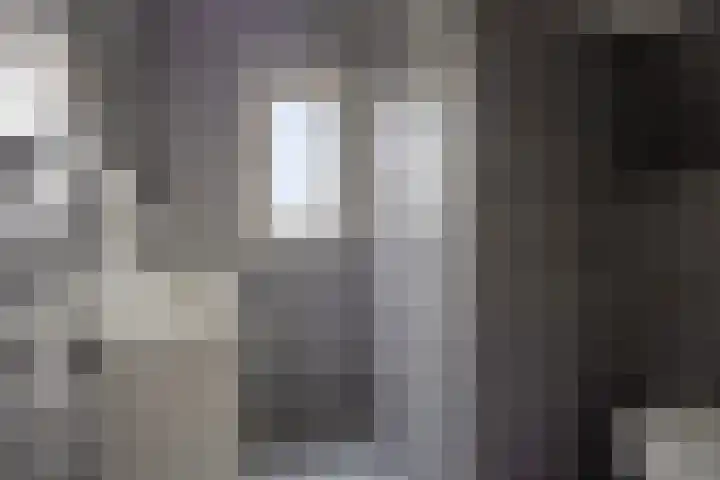 Vliegenzwam 85 Apeldoorn thumbnail 15