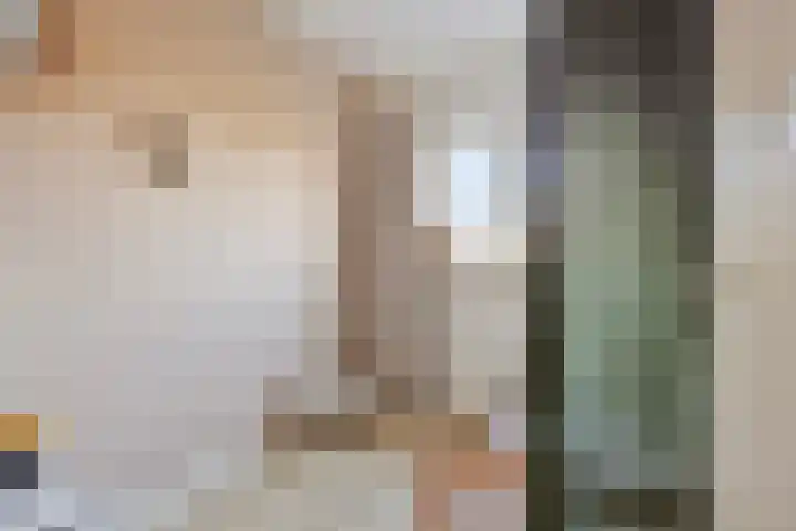 Vliegenzwam 85 Apeldoorn thumbnail 18