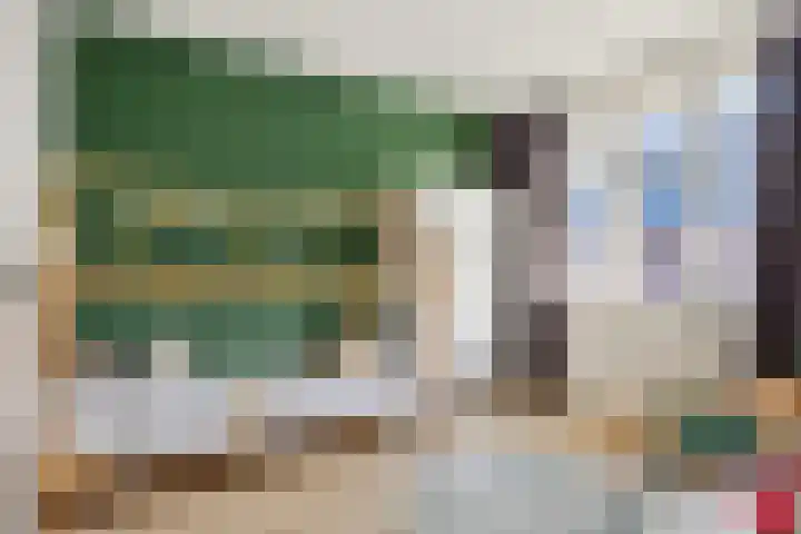 Vliegenzwam 85 Apeldoorn thumbnail 19