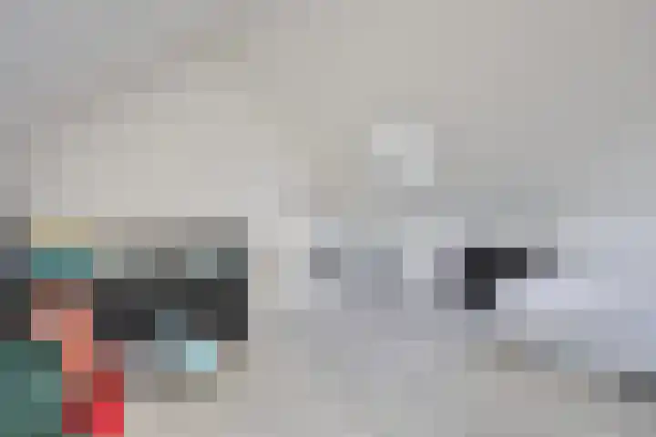 Vliegenzwam 85 Apeldoorn thumbnail 21