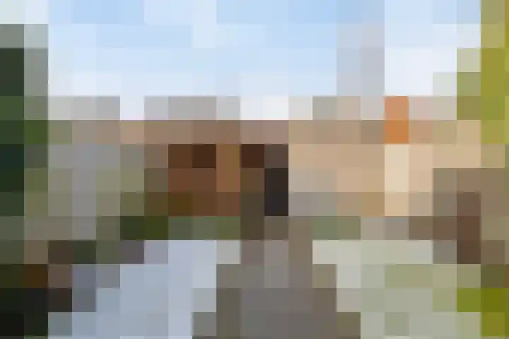 Vliegenzwam 85 Apeldoorn thumbnail 24