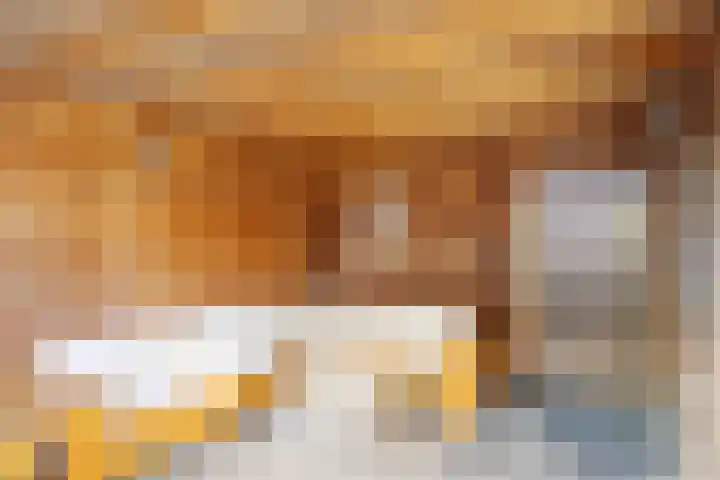 Vliegenzwam 85 Apeldoorn thumbnail 26