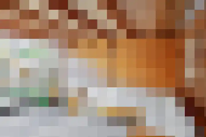 Vliegenzwam 85 Apeldoorn thumbnail 27
