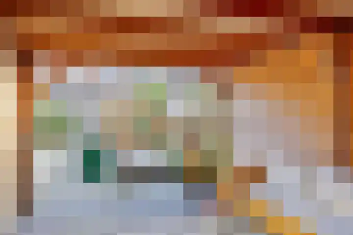 Vliegenzwam 85 Apeldoorn thumbnail 28