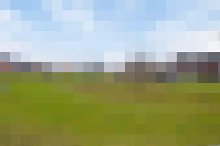 Vliegenzwam 85 Apeldoorn thumbnail 30