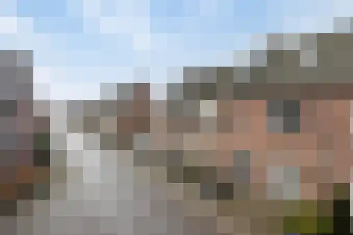 Vliegenzwam 85 Apeldoorn thumbnail 31