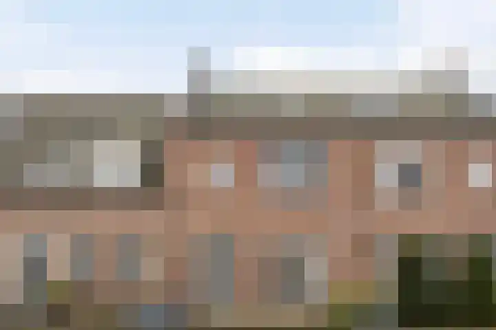 Vliegenzwam 85 Apeldoorn thumbnail 32