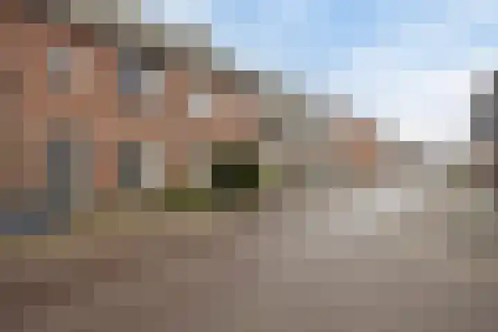 Vliegenzwam 85 Apeldoorn thumbnail 33