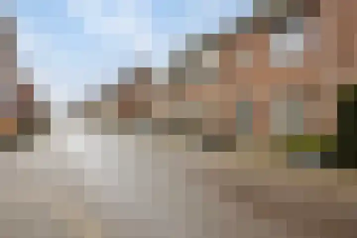 Vliegenzwam 85 Apeldoorn thumbnail 34