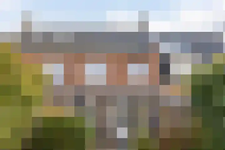 Vliegenzwam 85 Apeldoorn thumbnail 35