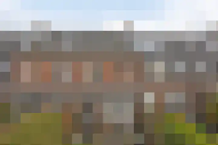 Vliegenzwam 85 Apeldoorn thumbnail 36