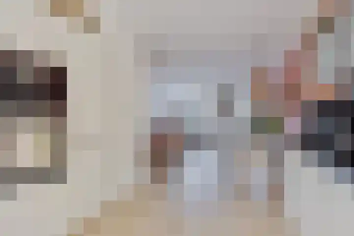 Vliegenzwam 85 Apeldoorn thumbnail 4
