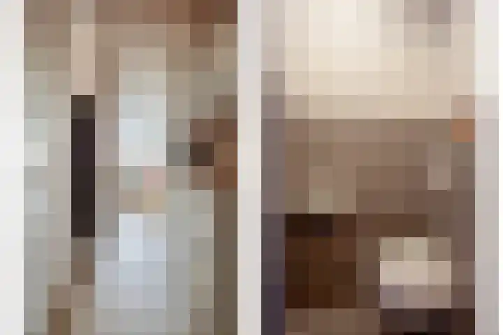 Vliegenzwam 85 Apeldoorn thumbnail 5