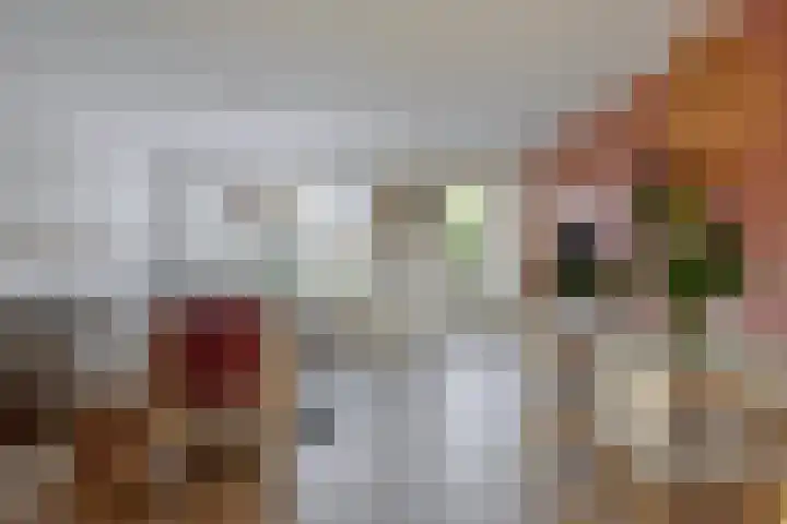 Vliegenzwam 85 Apeldoorn thumbnail 6