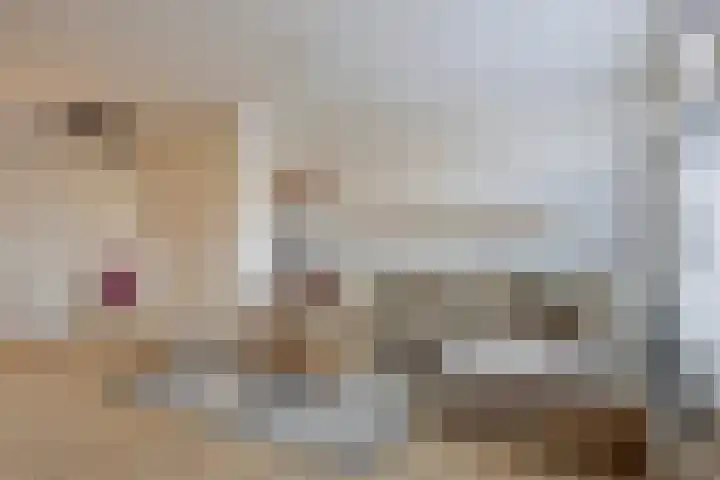 Vliegenzwam 85 Apeldoorn thumbnail 7