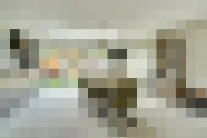 Vliegeren 11 Best thumbnail 10