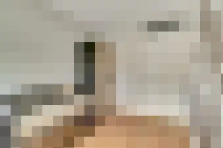 Vliegeren 11 Best thumbnail 20