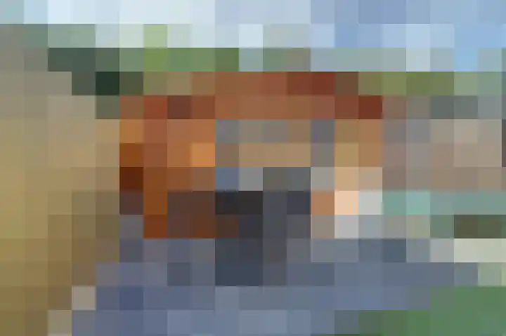 Vliegeren 11 Best thumbnail 31
