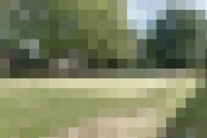 Vliegeren 11 Best thumbnail 34