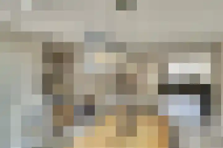 Vliegeren 11 Best thumbnail 5