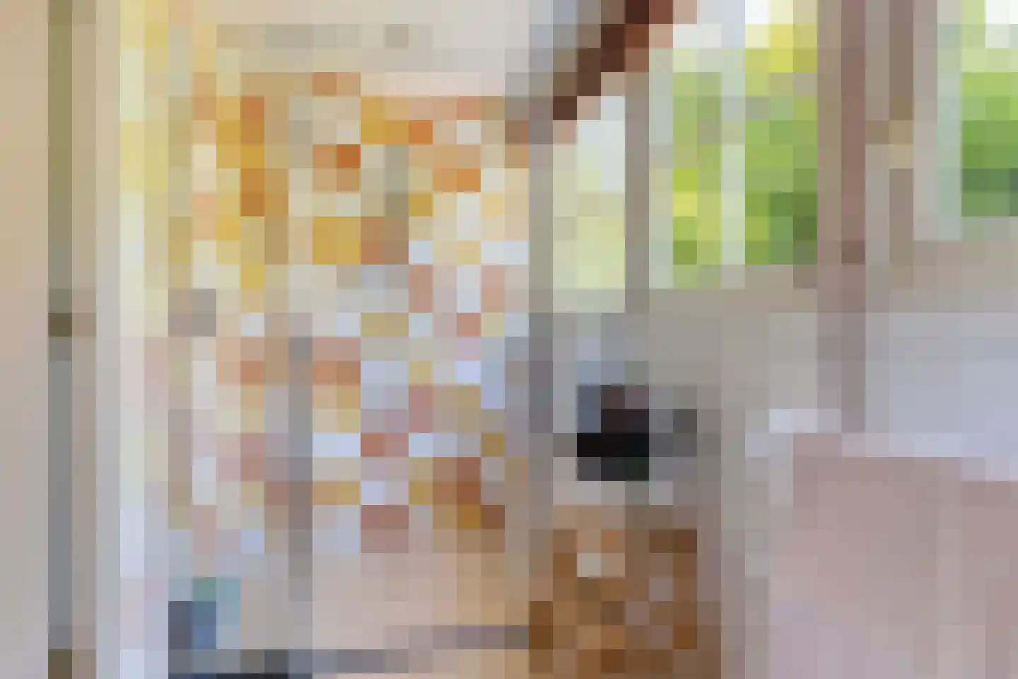 Vliegerlaan 35 Apeldoorn thumbnail 36