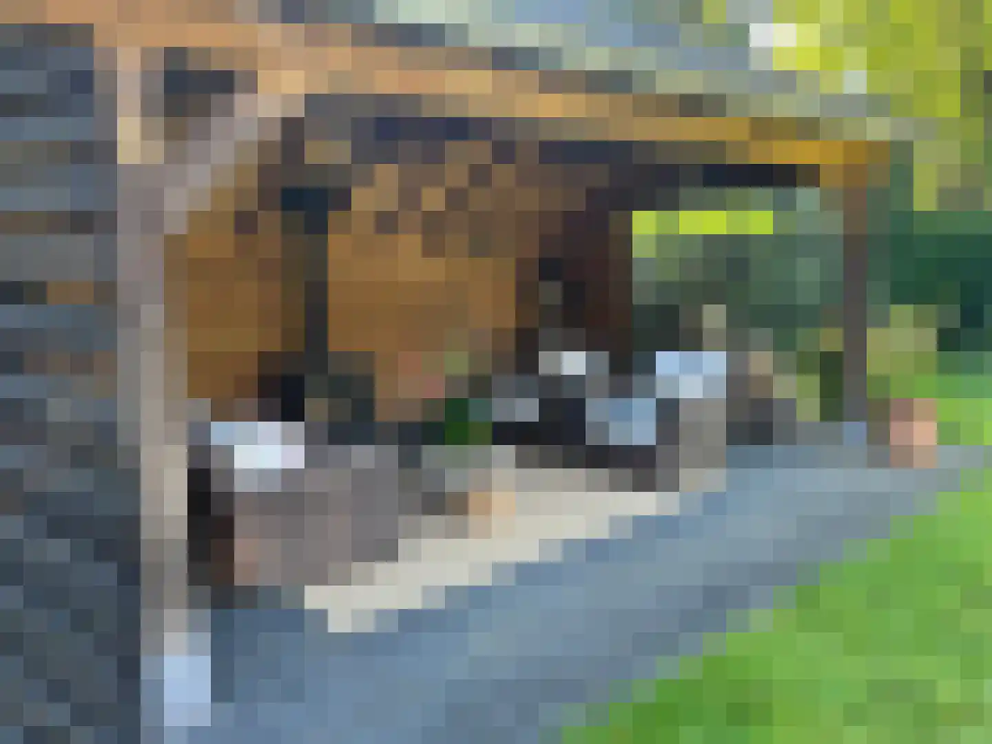 Vliegerlaan 35 Apeldoorn thumbnail 51