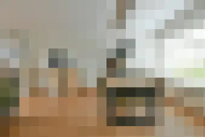 Vliegersplein 15 Vijfhuizen thumbnail 10
