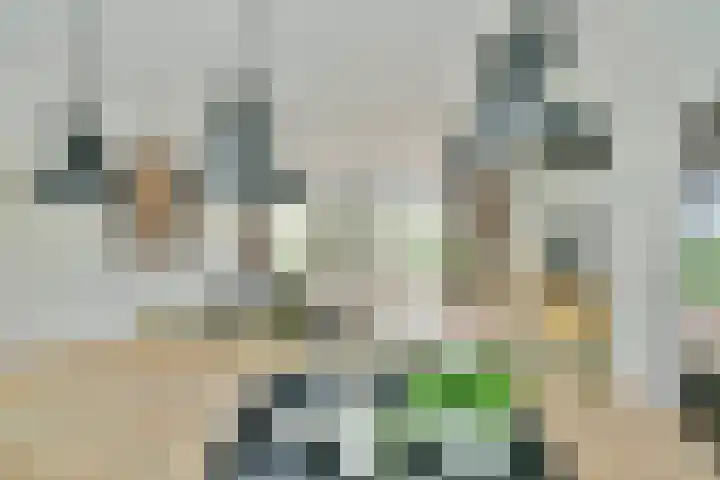 Vliegersplein 15 Vijfhuizen thumbnail 18