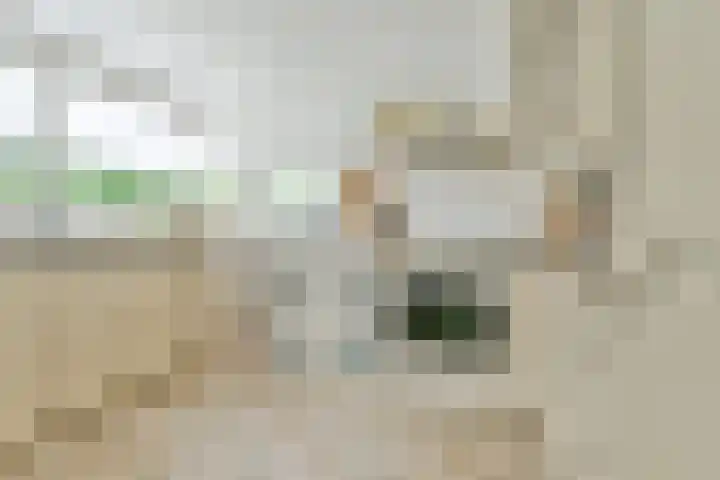 Vliegersplein 15 Vijfhuizen thumbnail 20