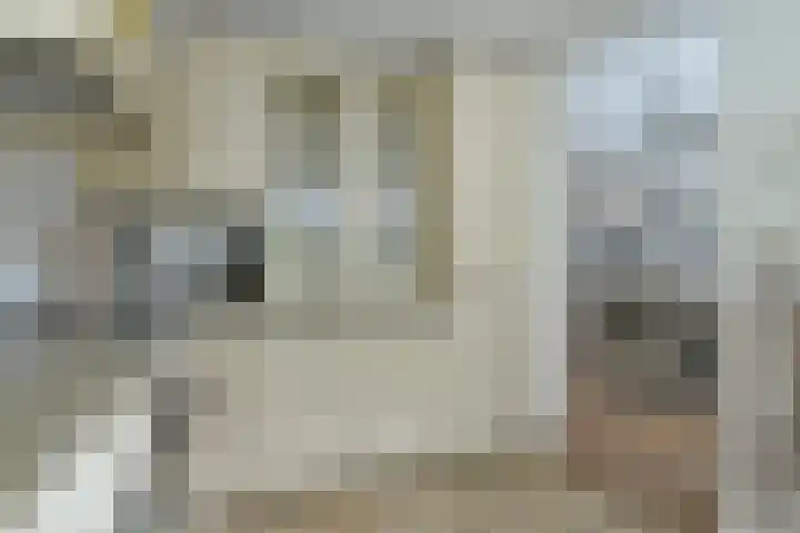 Vliegersplein 15 Vijfhuizen thumbnail 22