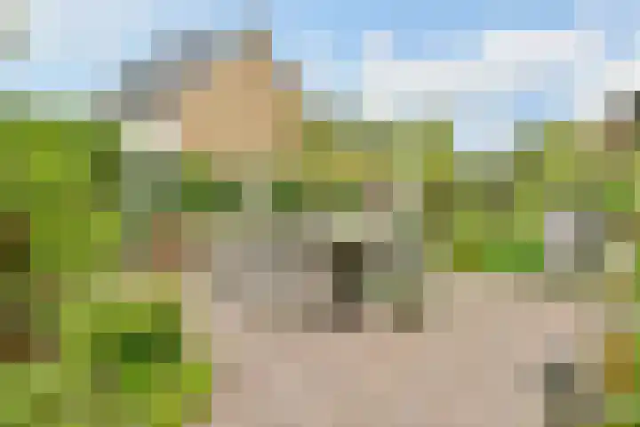 Vliegersplein 15 Vijfhuizen thumbnail 24