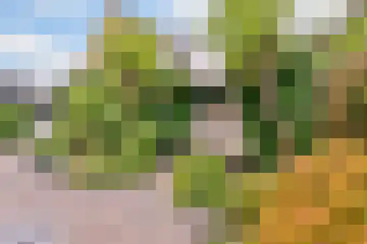 Vliegersplein 15 Vijfhuizen thumbnail 26