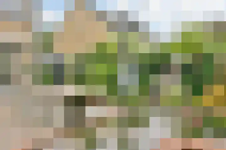 Vliegersplein 15 Vijfhuizen thumbnail 27