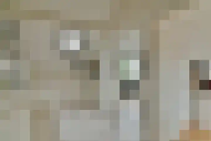 Vliegersplein 15 Vijfhuizen thumbnail 37