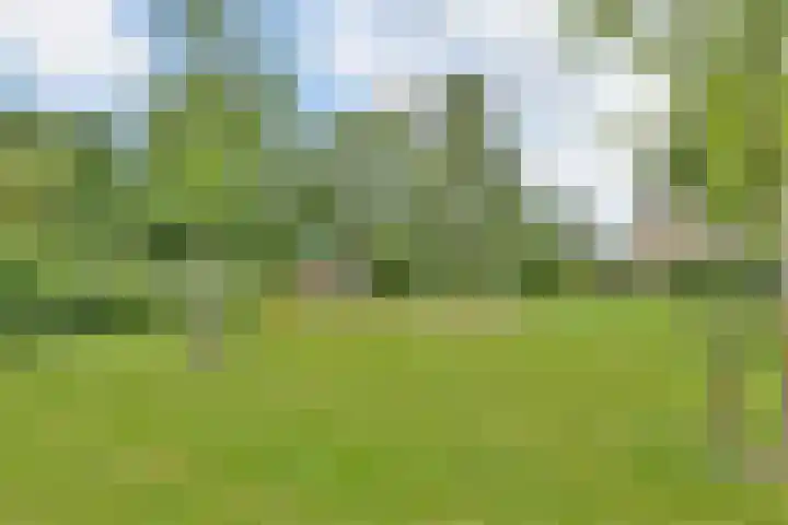 Vliegersplein 15 Vijfhuizen thumbnail 41