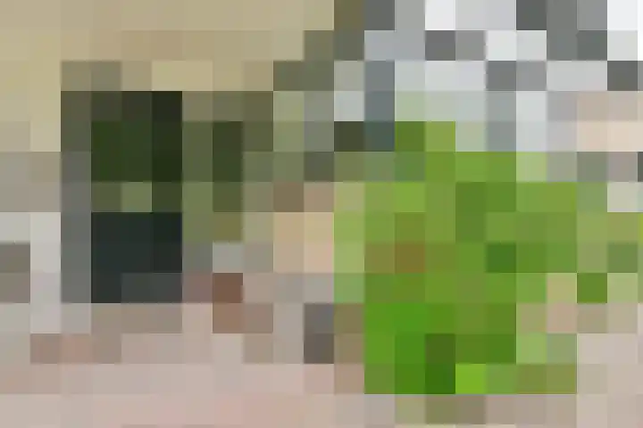 Vliegersplein 15 Vijfhuizen thumbnail 5
