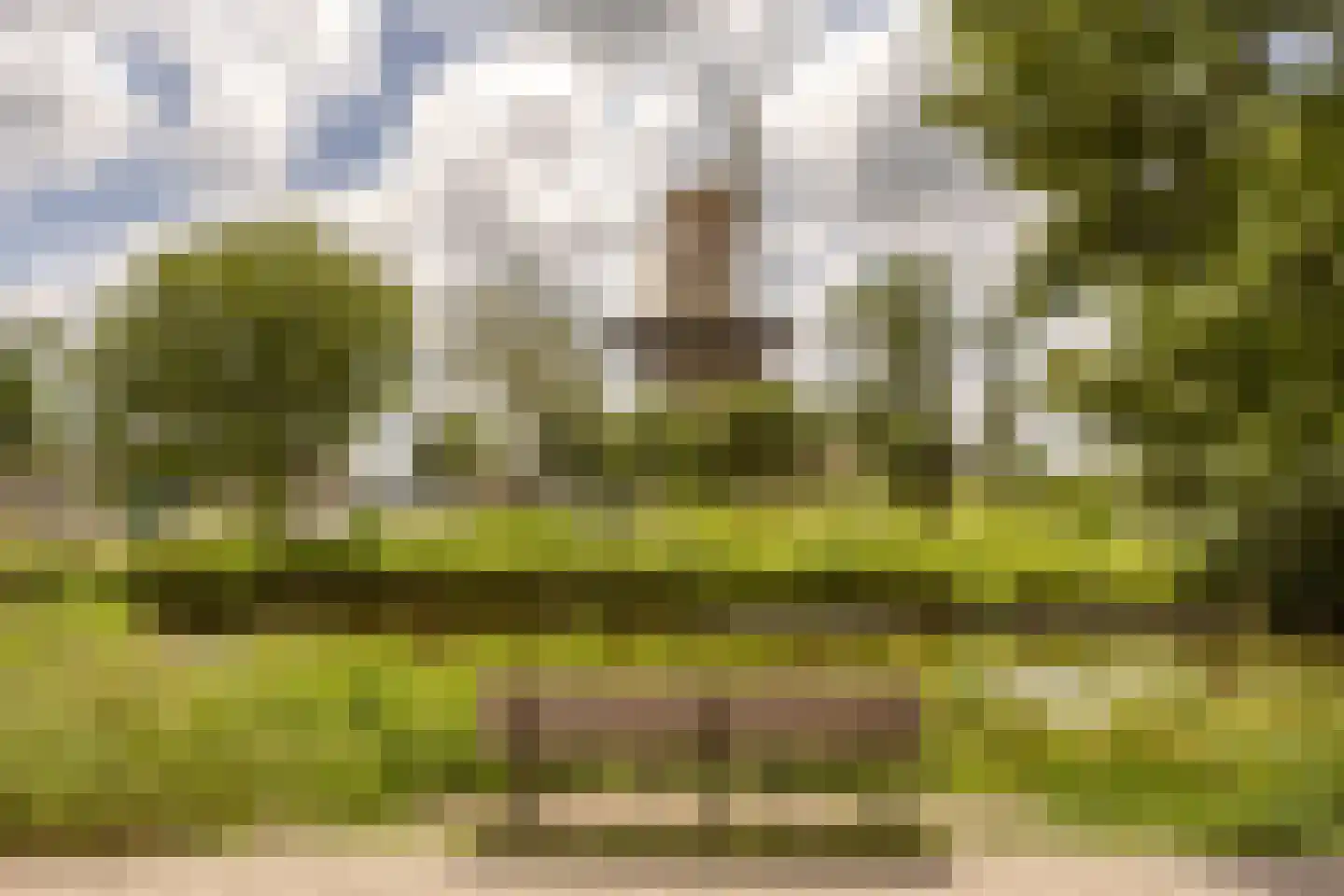 Vliegerstraat 98 Leiden thumbnail 31