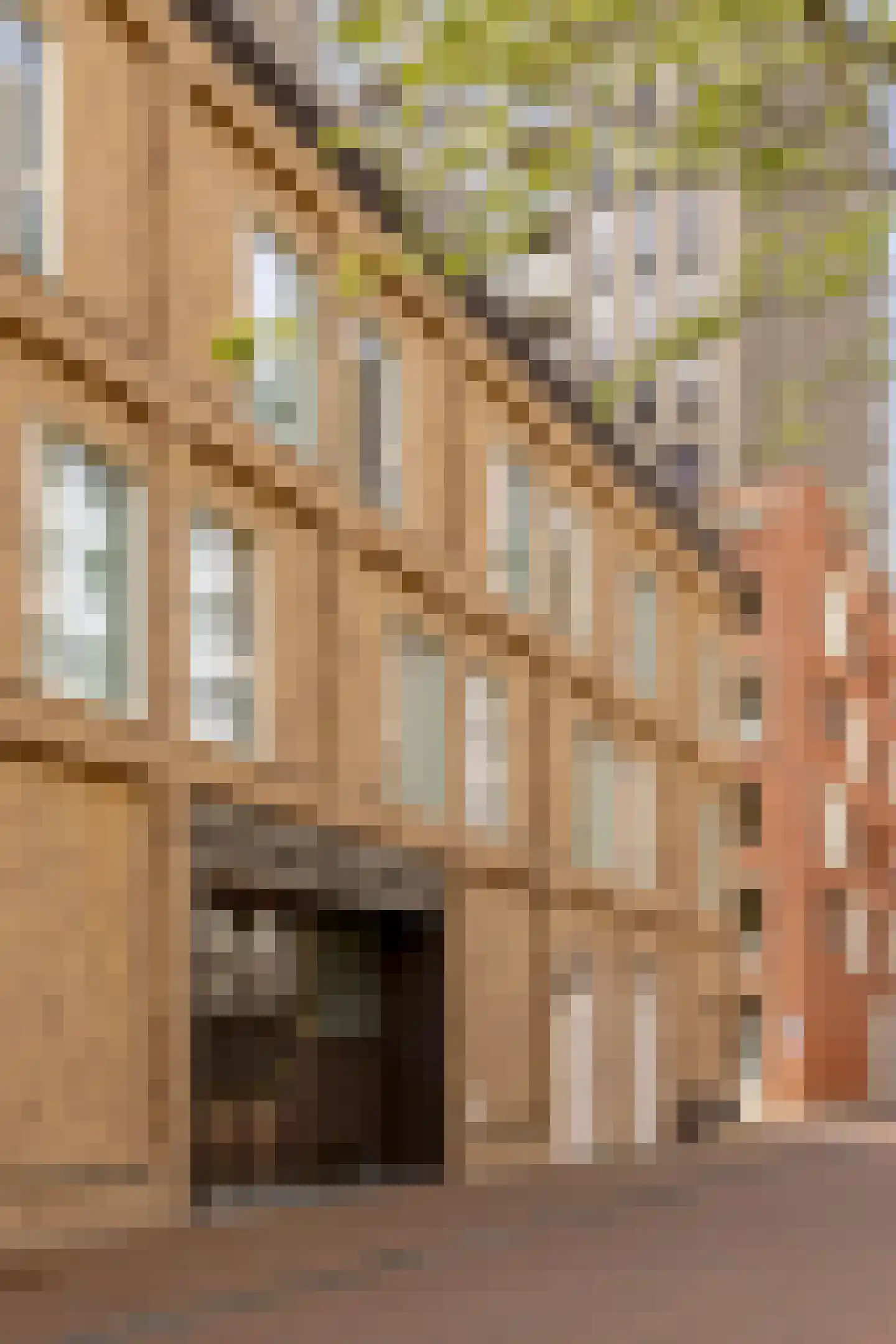 Vliegerstraat 98 Leiden thumbnail 34