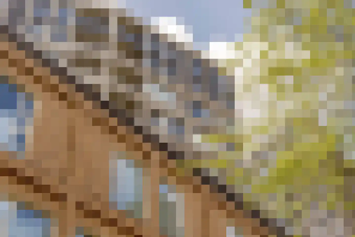 Vliegerstraat 98 Leiden thumbnail 4