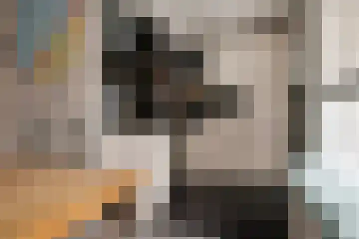 Vliegersveld 13 Biddinghuizen thumbnail 11