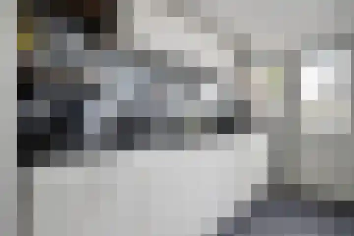 Vliegersveld 13 Biddinghuizen thumbnail 13
