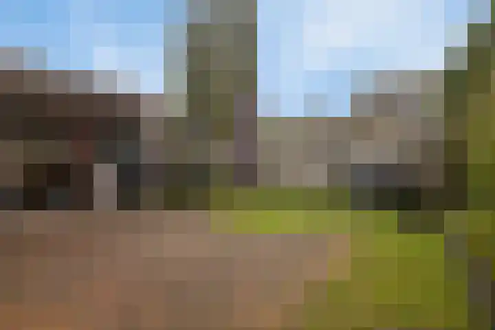 Vliegersveld 13 Biddinghuizen thumbnail 27