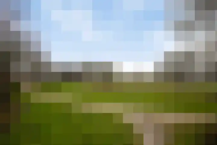 Vliegersveld 13 Biddinghuizen thumbnail 33