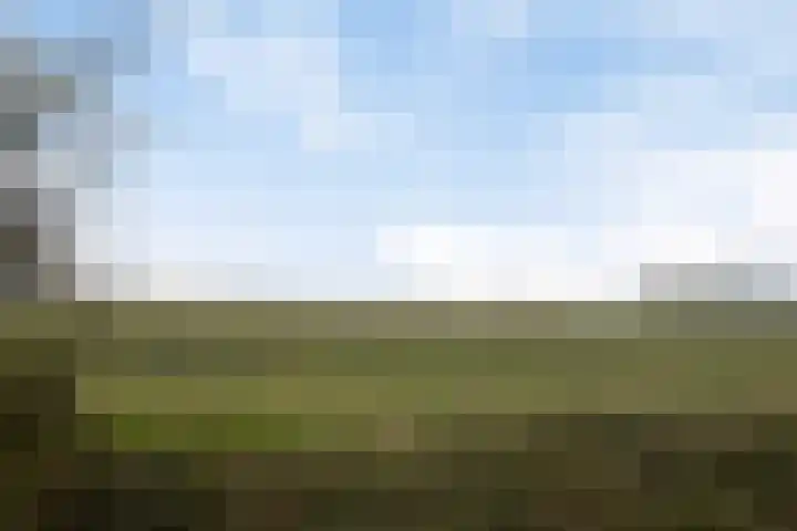 Vliegersveld 13 Biddinghuizen thumbnail 34