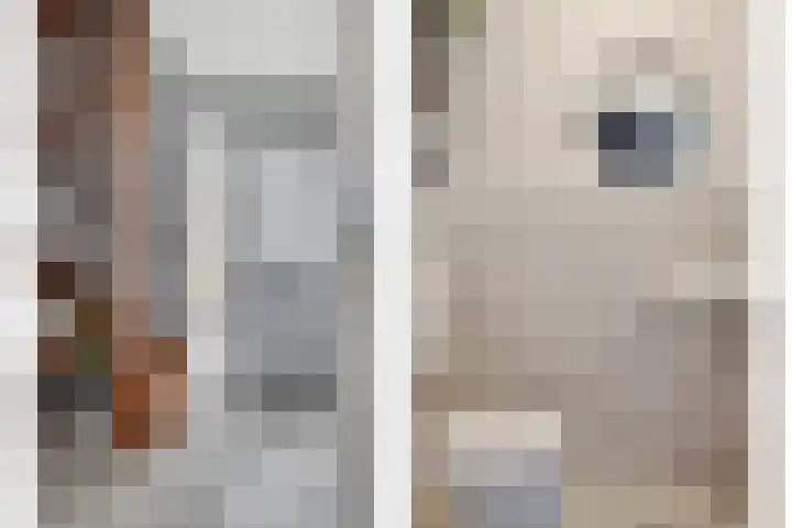 Vliegersveld 13 Biddinghuizen thumbnail 5