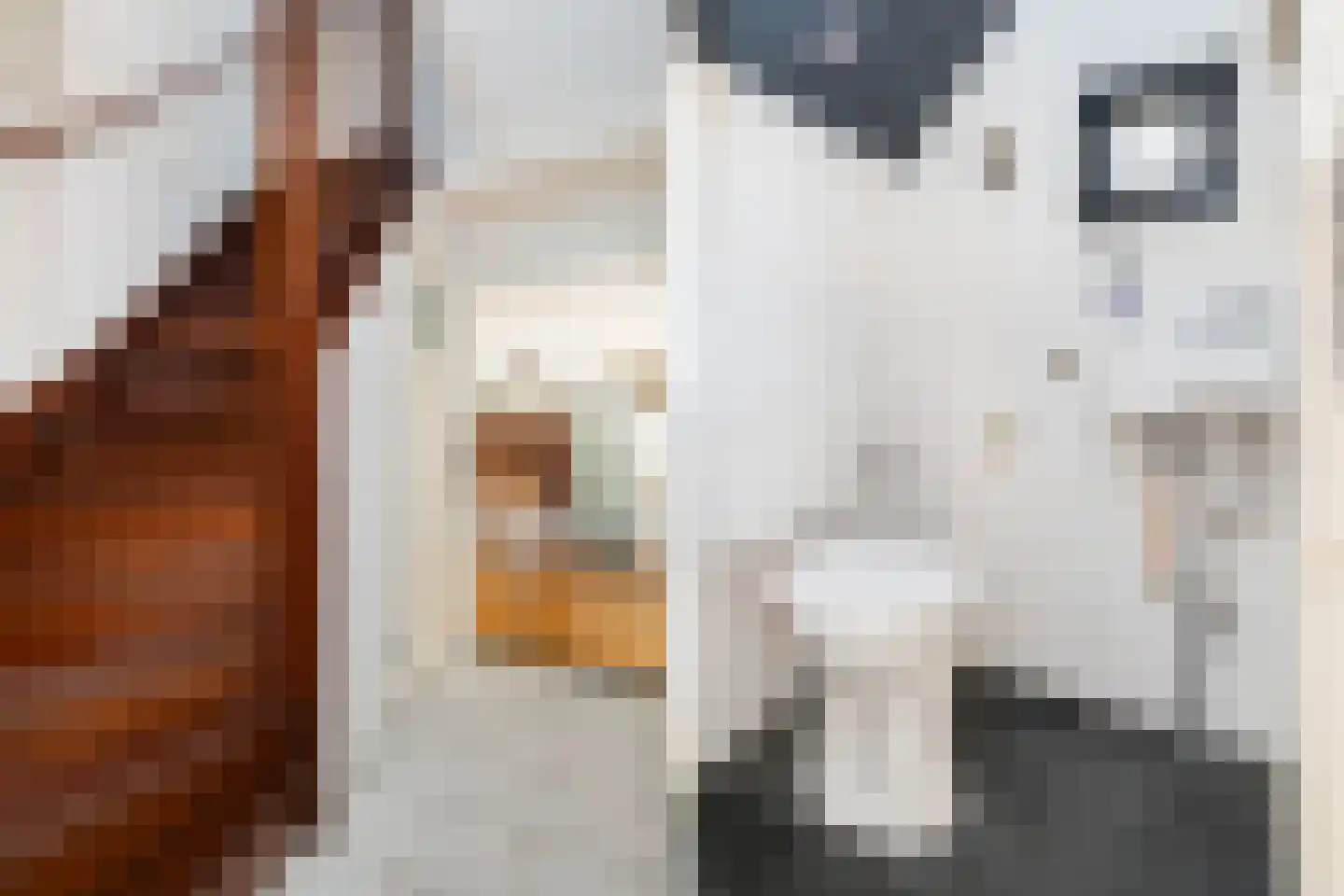 Vliegersveld 26 Biddinghuizen thumbnail 8