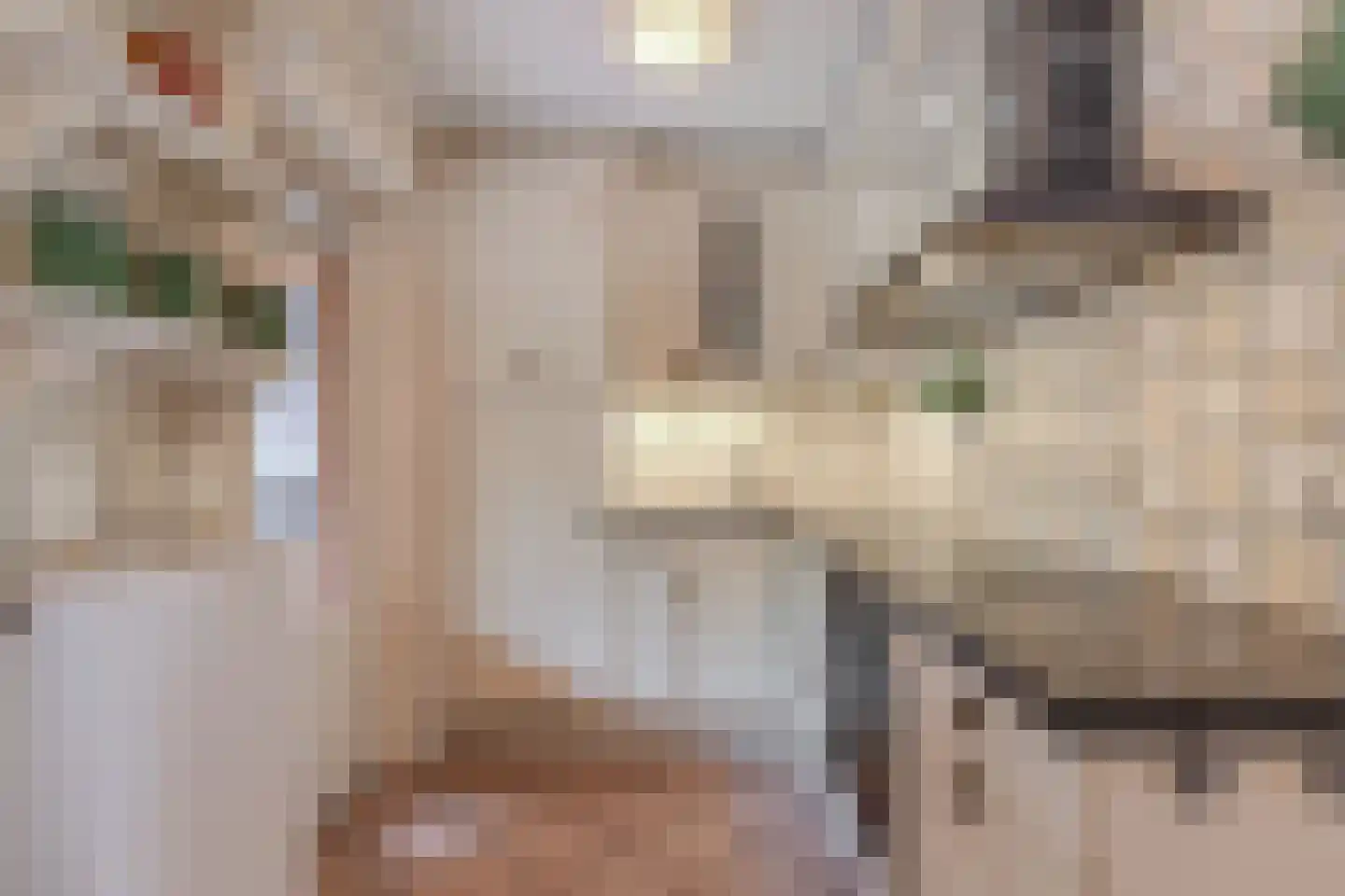 Vliegersveld 3 Biddinghuizen thumbnail 22